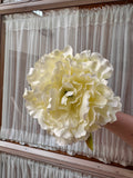 Peonia grande beige