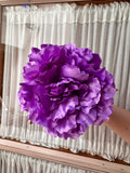 Peonia grande lila