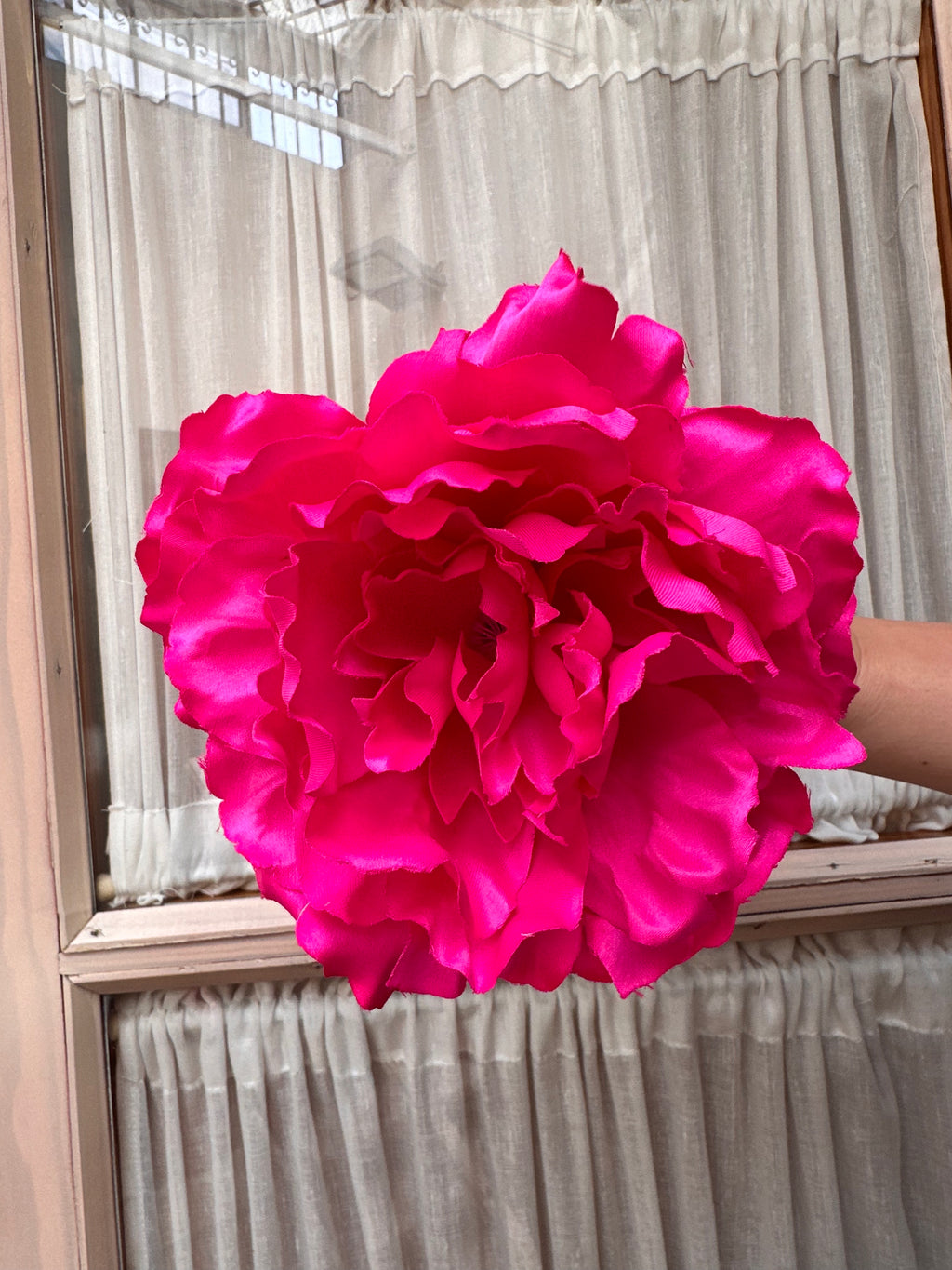 Peonia grande rosa fluor