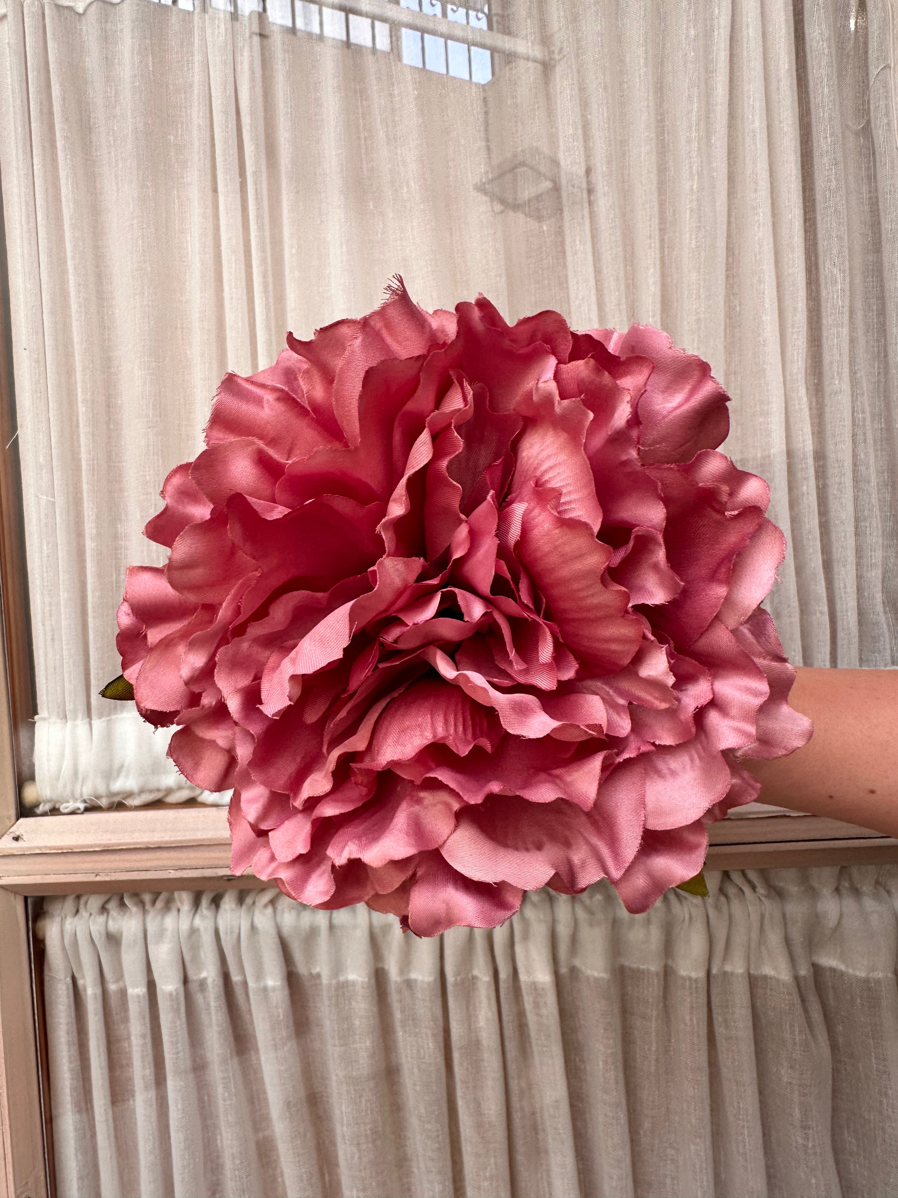 Peonia grande rosa empolvado