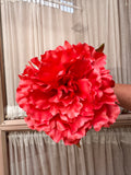 Peonia grande coral
